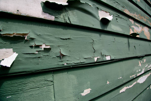 Professional Junk Removal in Paradise Hills, NM