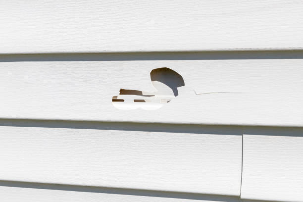 Best Shed Removal  in Paradise Hills, NM